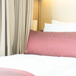 Splendid Soft Linen Collections Pillow Case Pair 300 Thread Count Queen Cotton Grey 18X28 Solid